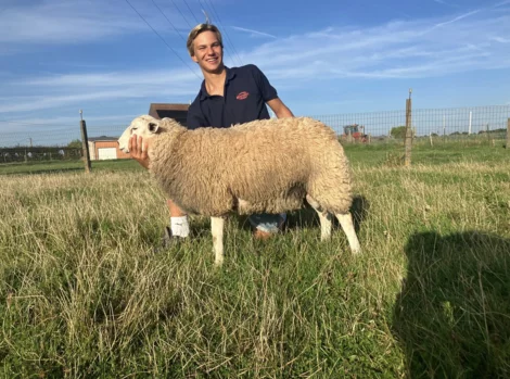 Jongeman knielt in de wei om een schaap te aaien