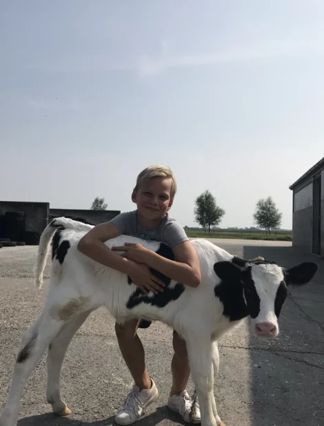 Jongetje hangt over een kalfje op de boerderij
